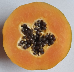 Papaya im Querschnitt