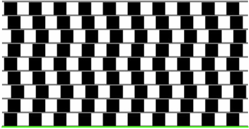 Caf Wall Illusion-ani